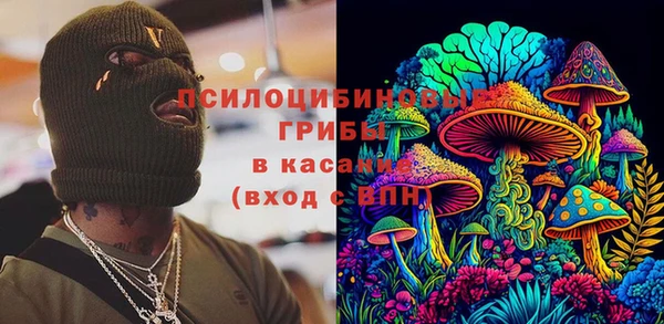 молекула духа Верхний Тагил