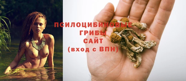 молекула духа Верхний Тагил
