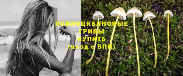 мяу мяу мука Воткинск