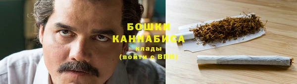сатива Бородино