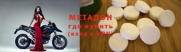 сатива Бородино