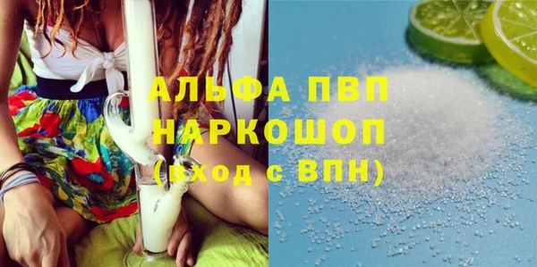 сатива Бородино