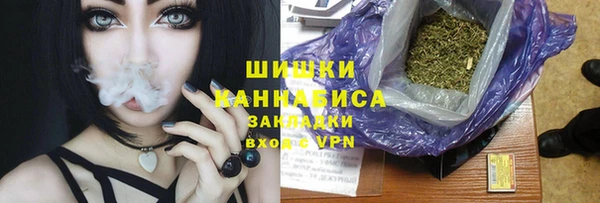 молекула духа Верхний Тагил