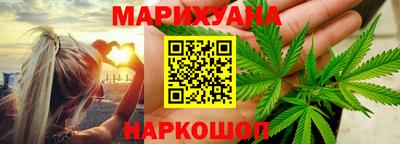 jwh Бийск