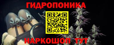 jwh Бийск