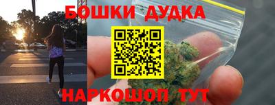 jwh Бийск