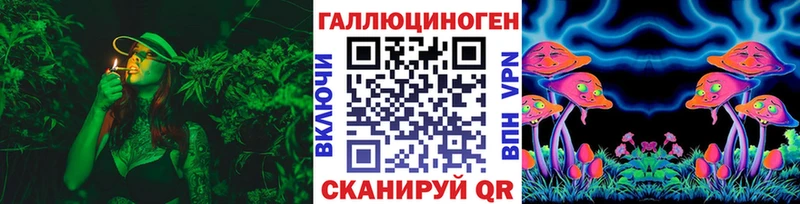 Галлюциногенные грибы Magic Shrooms  мориарти наркотические препараты  Гудермес  как найти  
