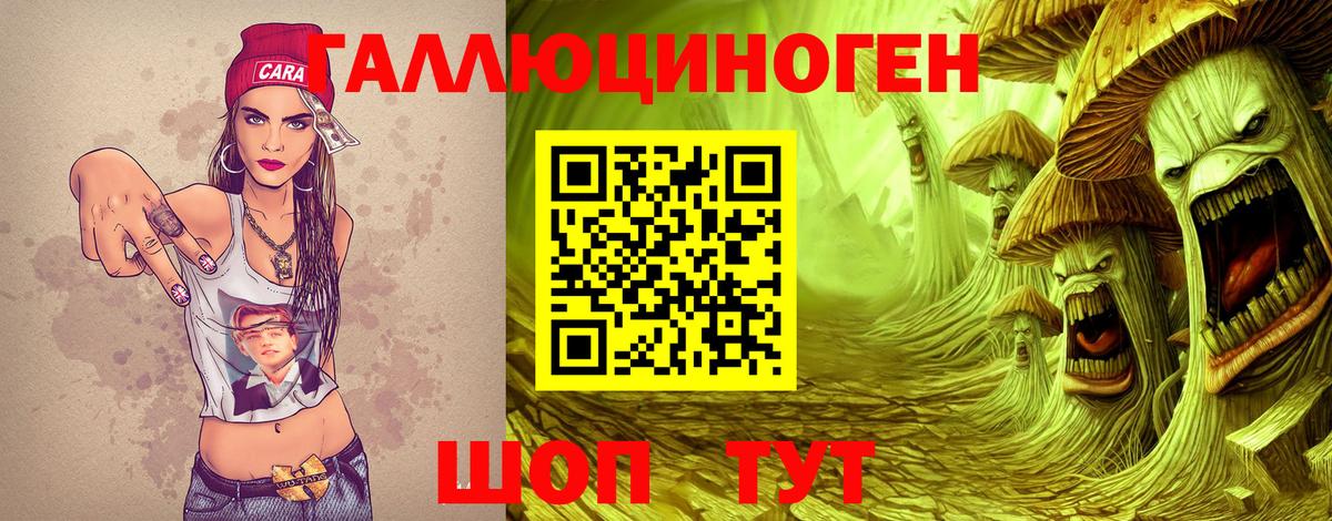 Псилоцибиновые грибы Cubensis Гудермес